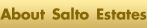 About Salto Estates